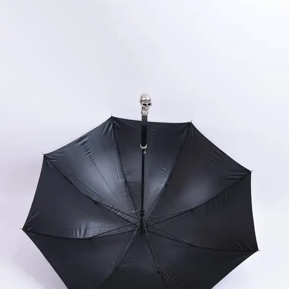 Parapluie de voyage coupe-vent automatique